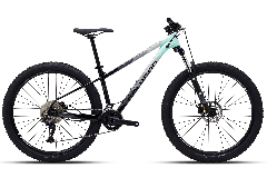 Велосипед Polygon Xtrada 5, 29" grn/gry (2021)